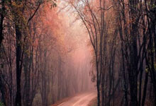 半场:切尔西0-0热刺,桑乔、恩佐错失良机,范德芬险送乌龙.