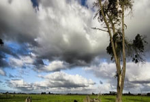 开元棋牌官网：罗马诺：拜仁等队有意伯恩茅斯小将怀森 解约金6000万欧今夏生效.