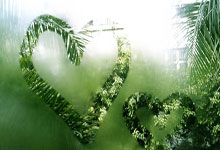 开元棋牌官网：现在看真不贵❗恒大1920万欧签24岁塔利斯卡，30岁仍值1700万.