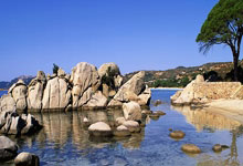 大马丁：为球队的表现感到骄傲，我们将带着尊重和责任感对阵巴西.